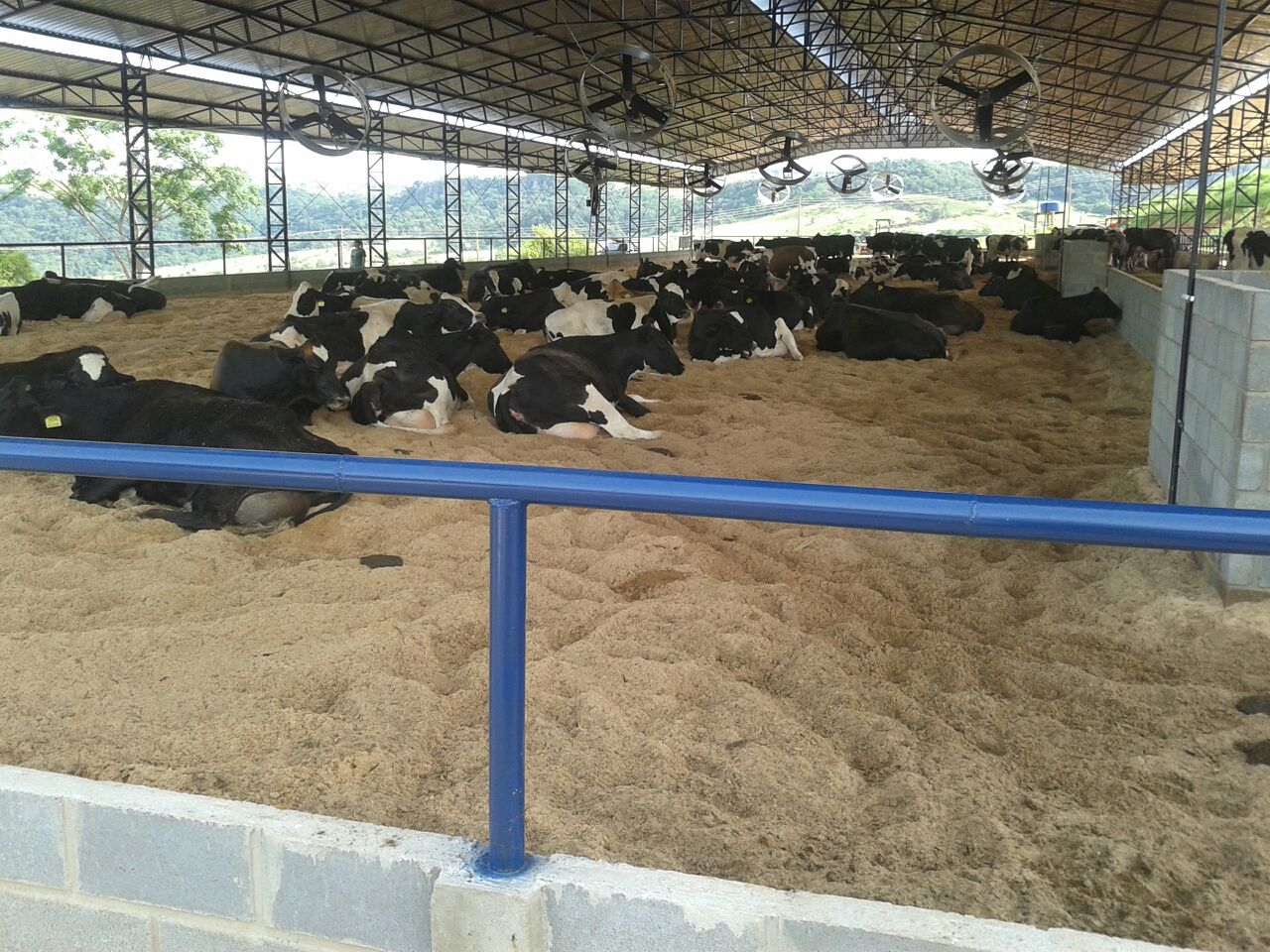 Compost Barn 15