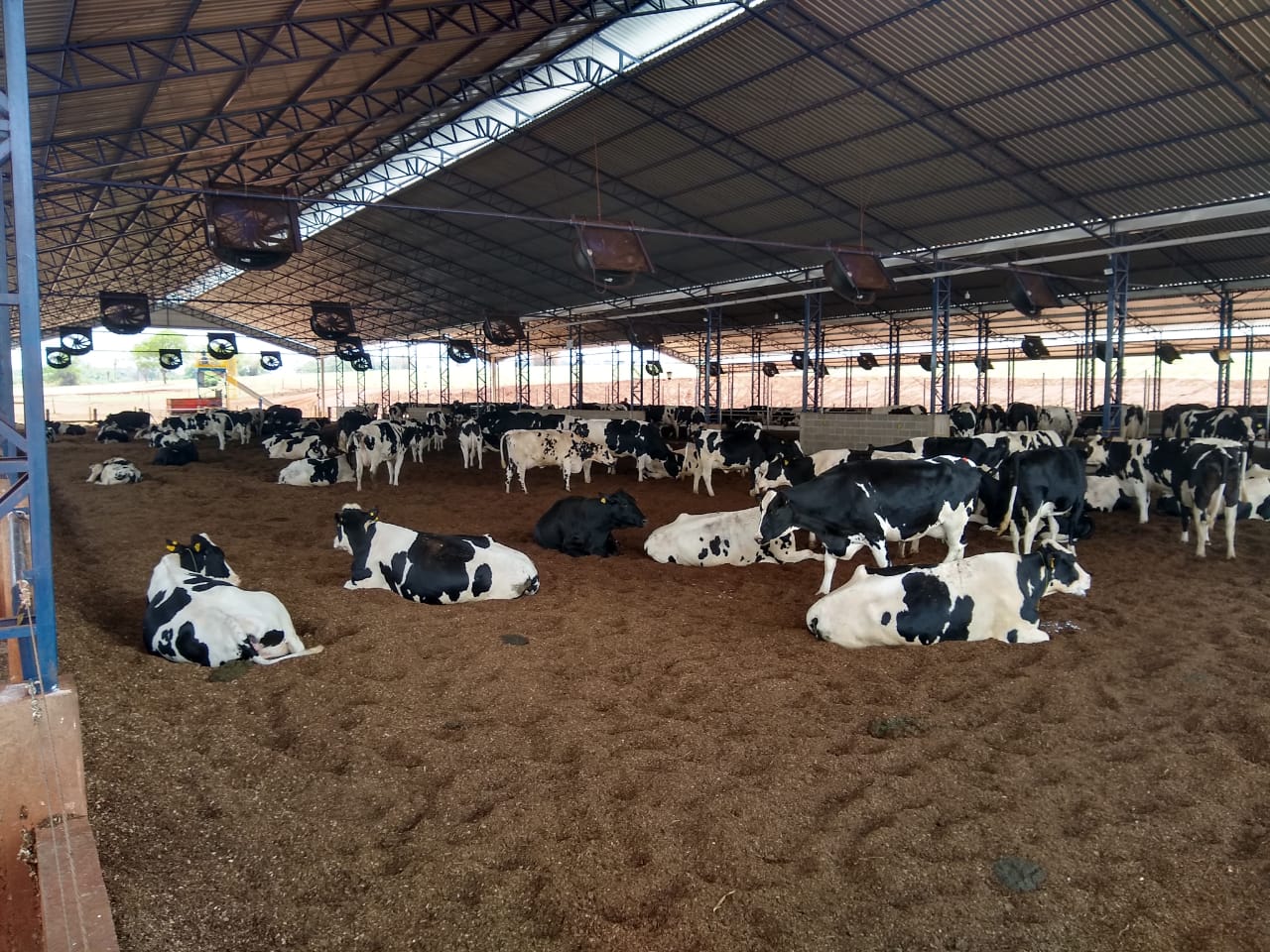 Compost Barn 21