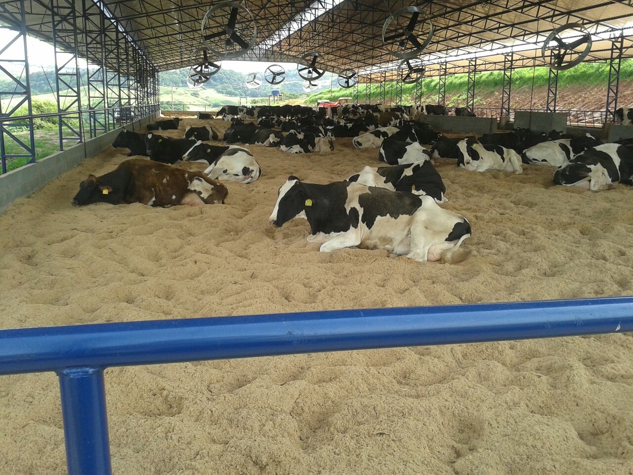 Compost Barn 13