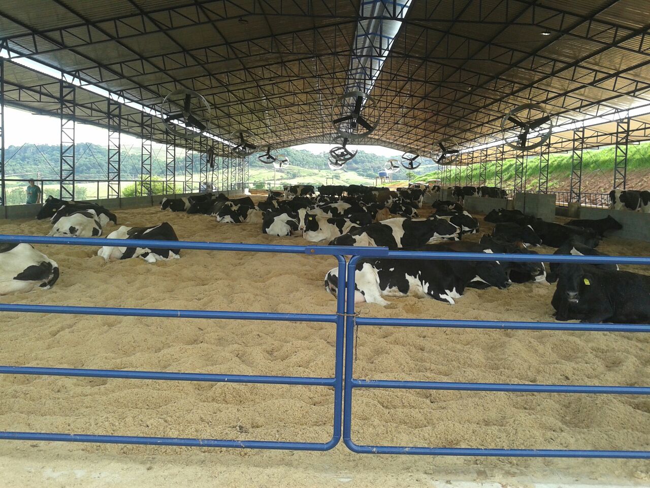 Compost Barn 10