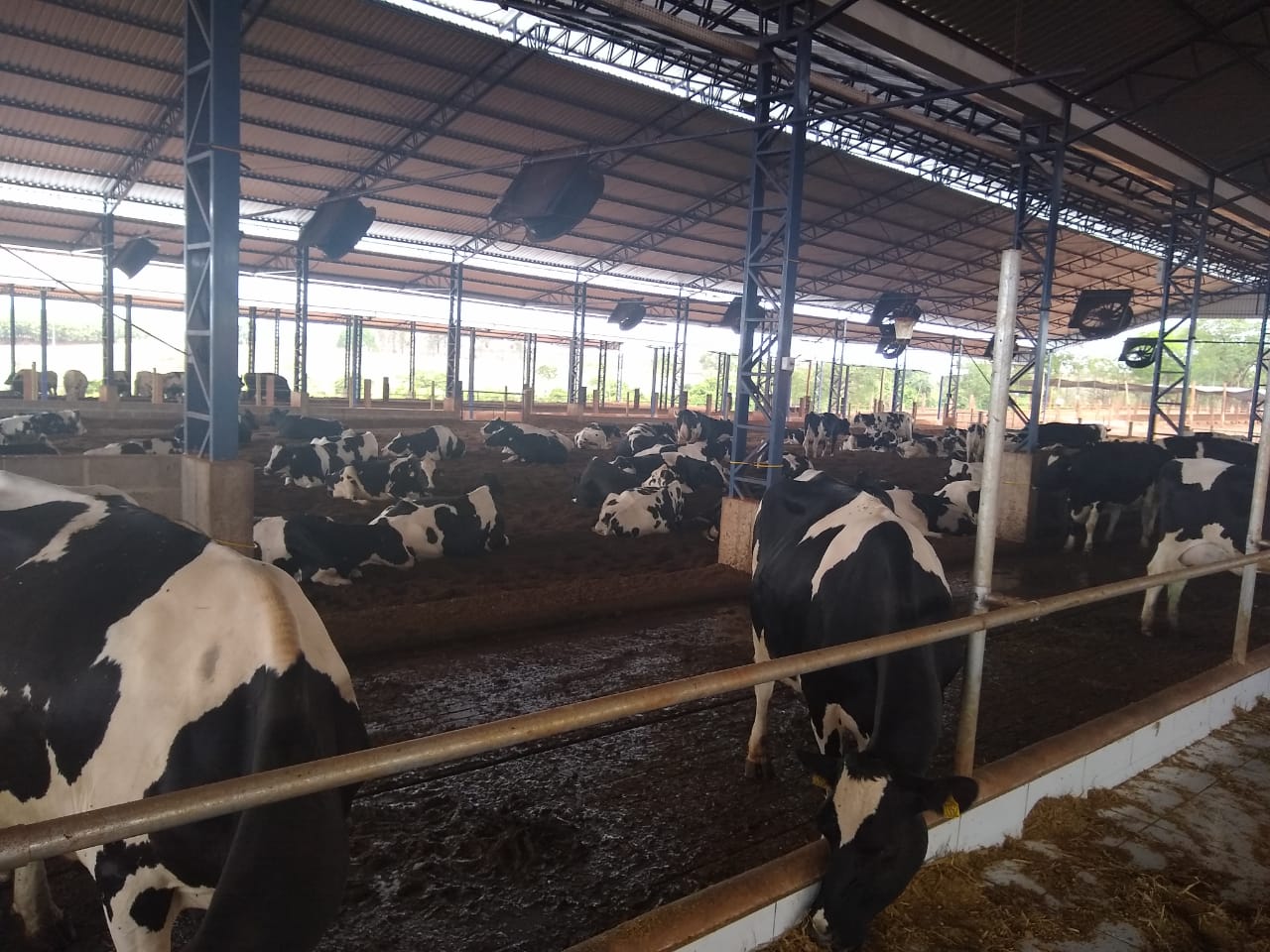 Compost Barn 23