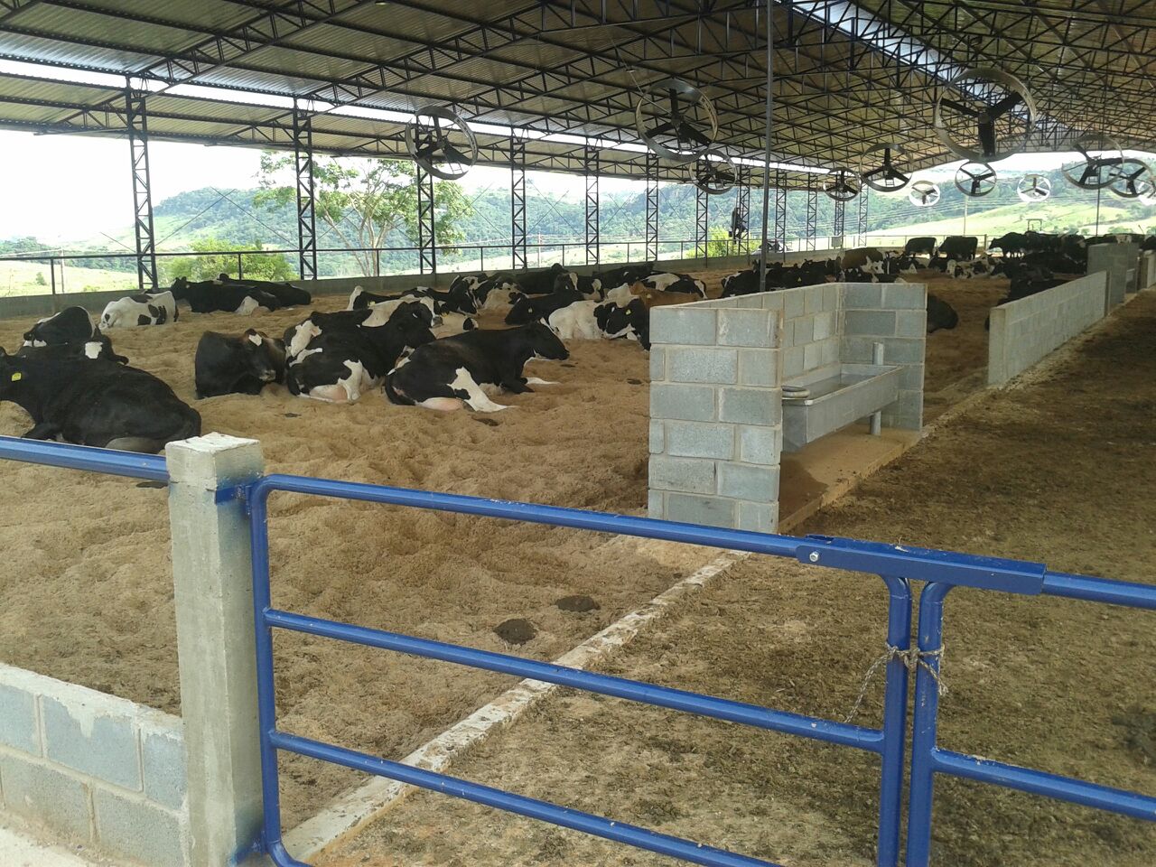 Compost Barn 14