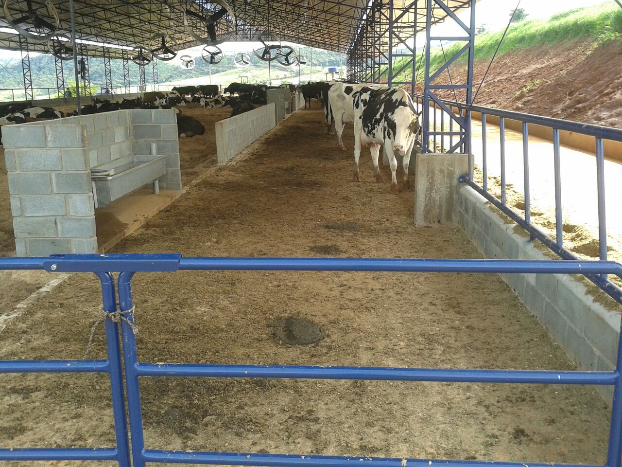 Compost Barn 12