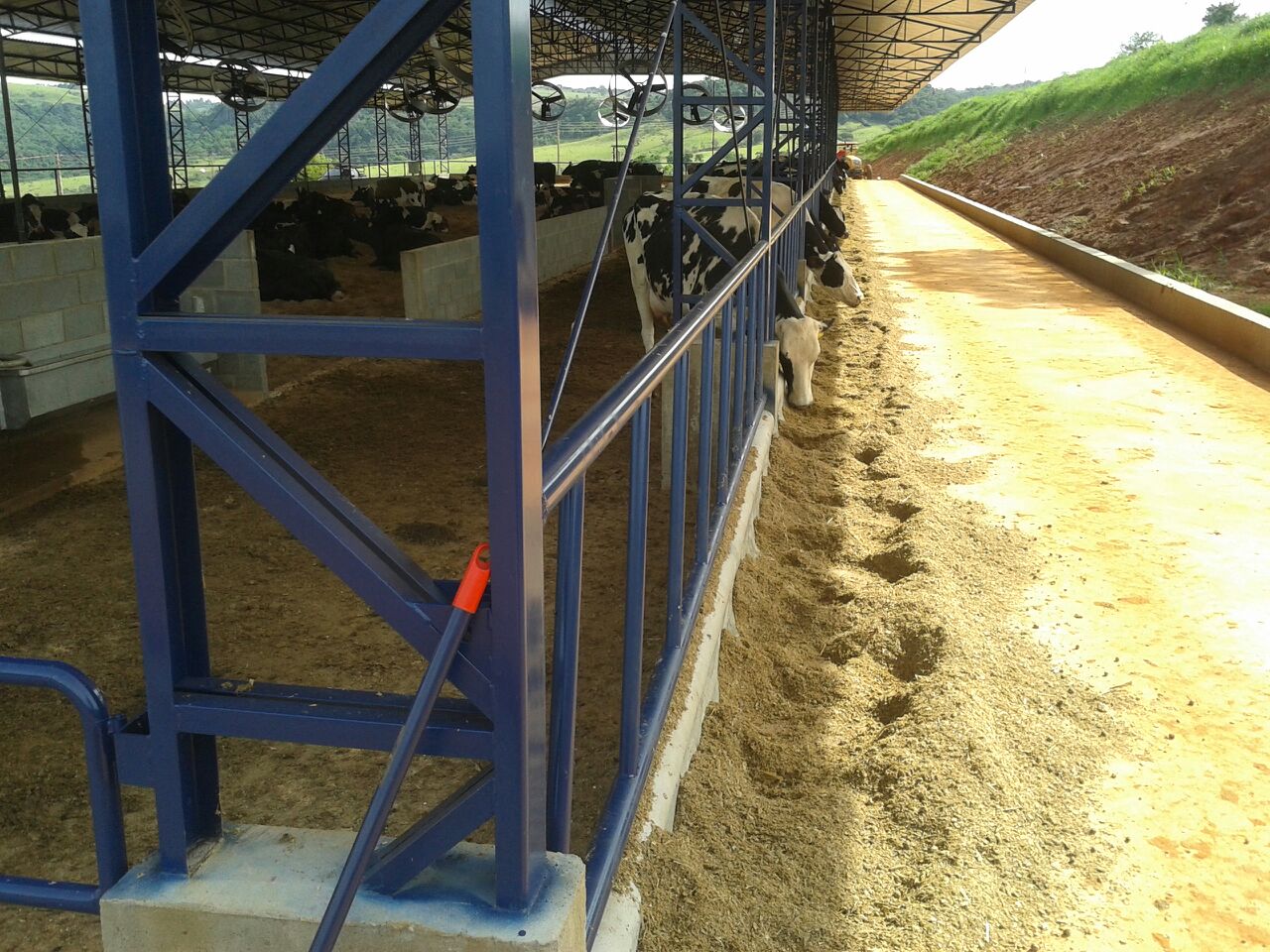 Compost Barn 11